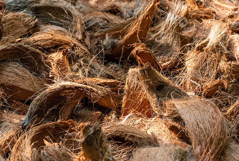 Sustainable Coir Mastery